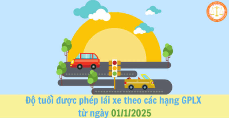 Bảng tóm tắt quy định độ tuổi lái xe điện tại Việt Nam